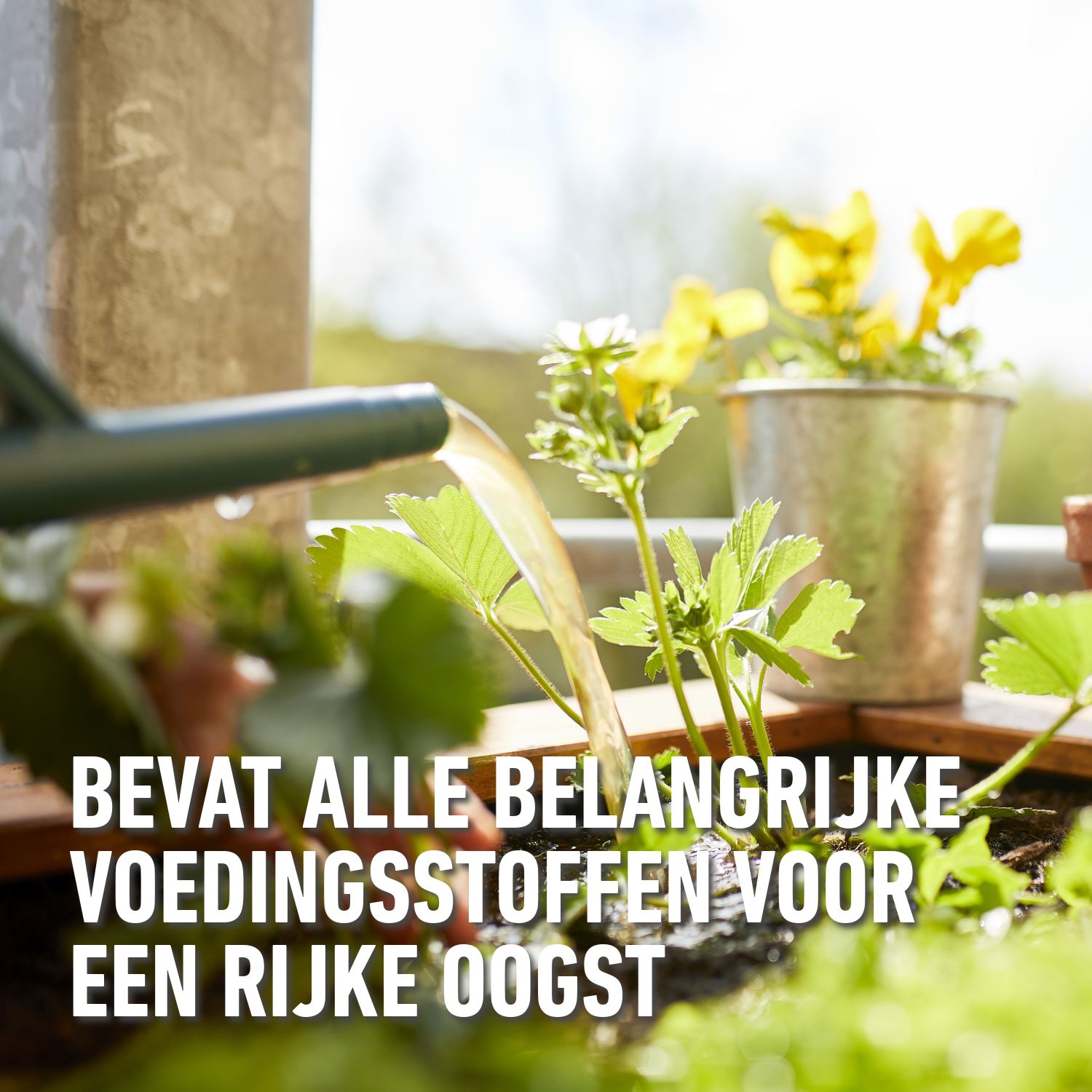 Vloeibare-meststof-groenten-fruit-1-l