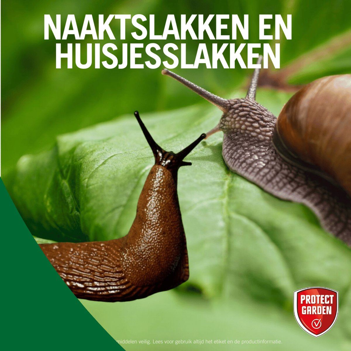 Desimo-Slakkenkorrels-250gr-500m-