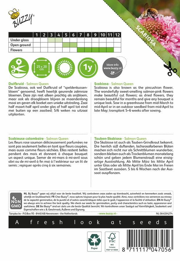 Buzzy-Scabiosa-Salmon