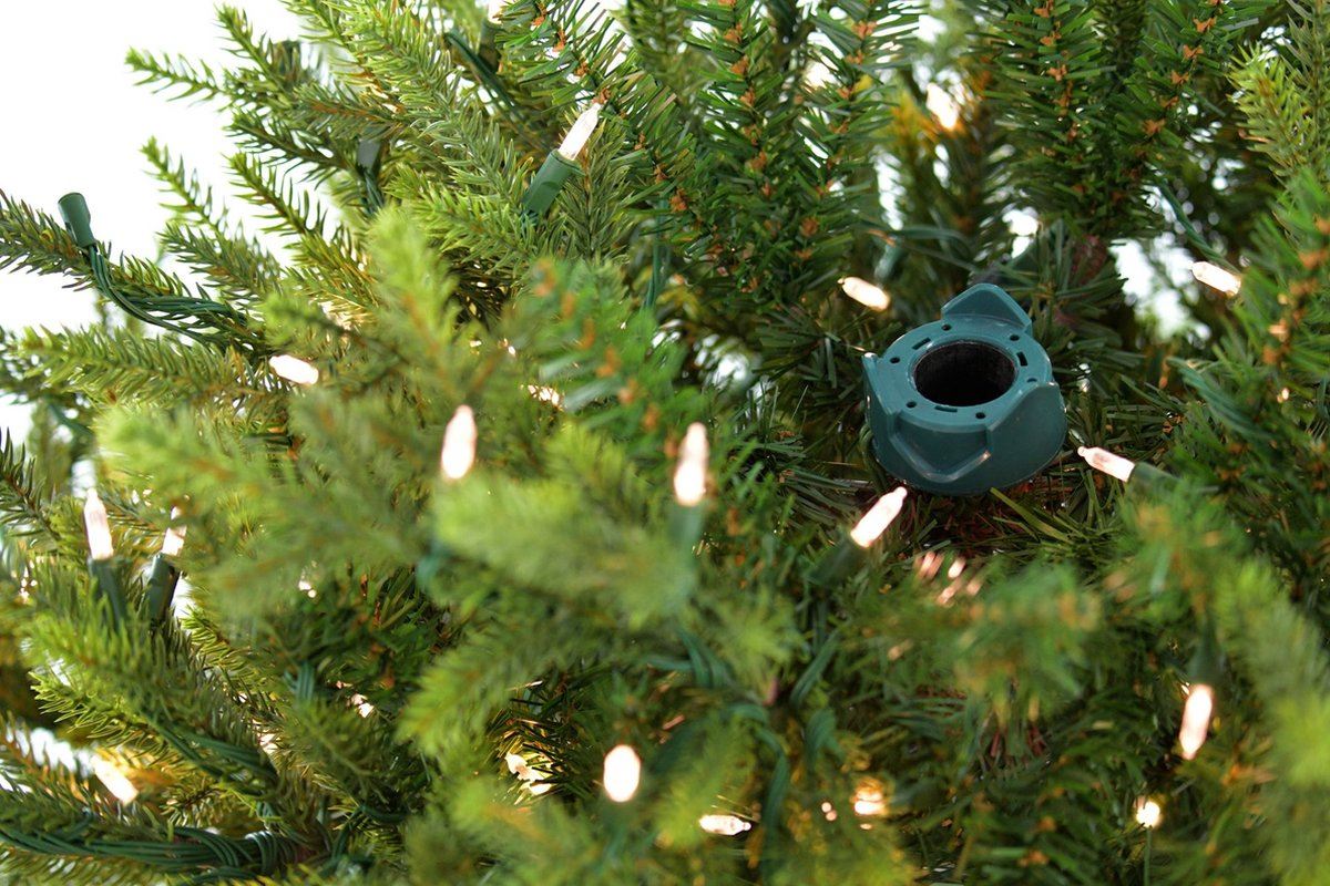 Sami-Mountain-Spruce-Wood-DB-Base-183cm-500L-PTP