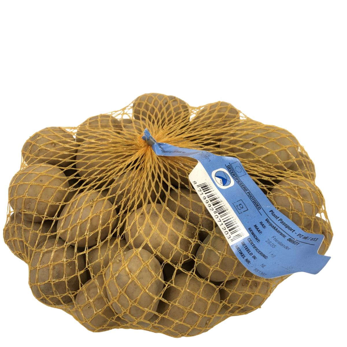 Seed potato Frieslander BIO - bag 1kg