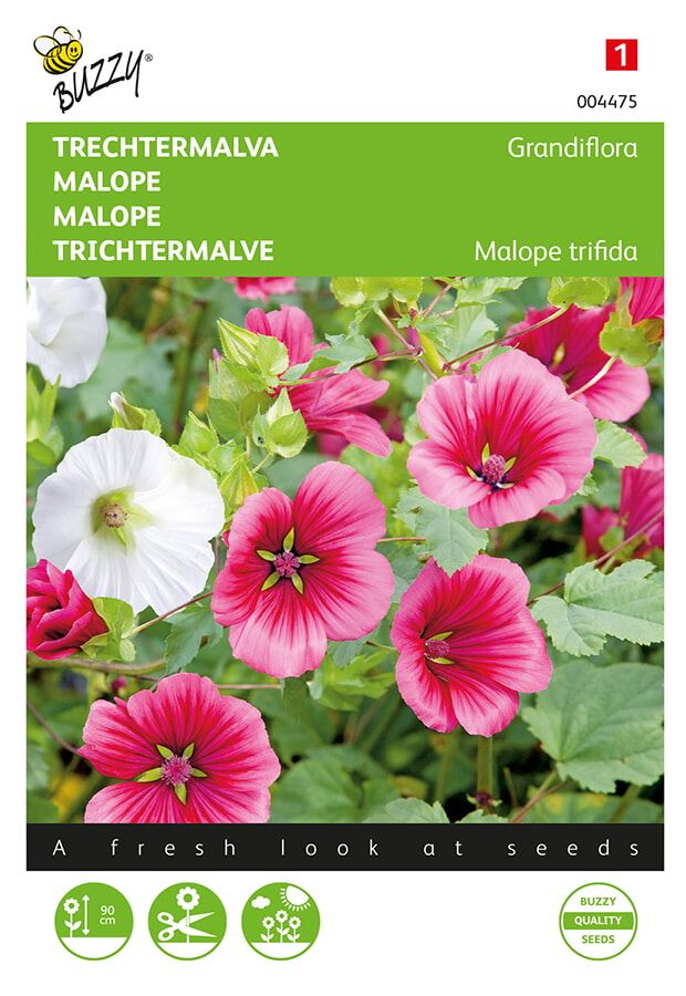 Buzzy-Malope-Trechtermalva-Grandiflora-gemengd
