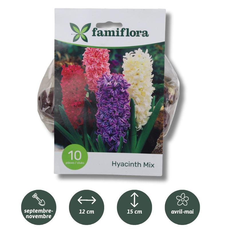 Hyacinth-Mix-per-10