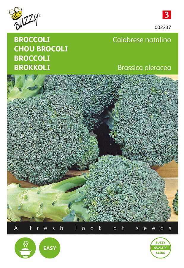 Buzzy-Broccoli-Calabrese-natalino-groen