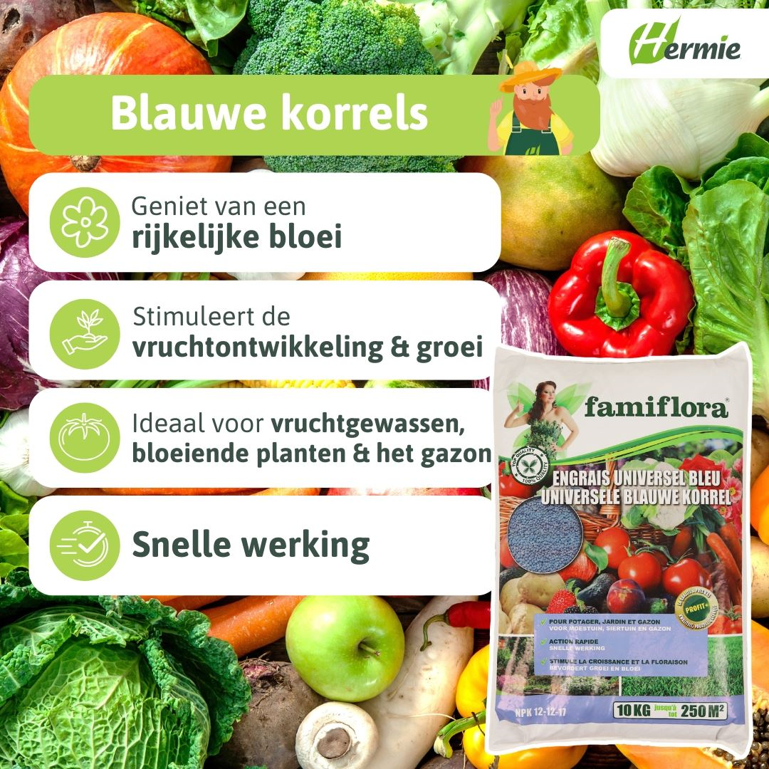 Famiflora fertilizer - blue grain - 10 kg - for 250 m²