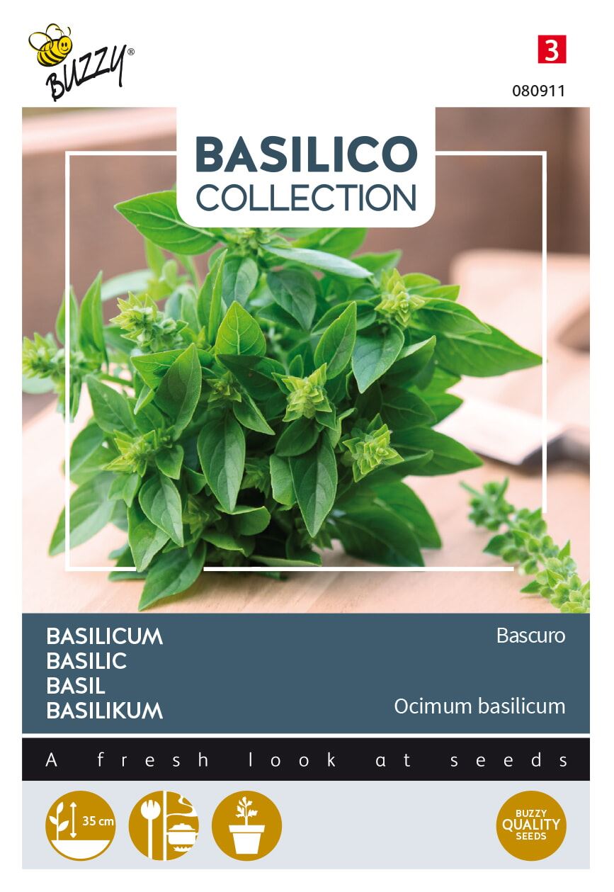 Buzzy-Basilicum-Bascuro