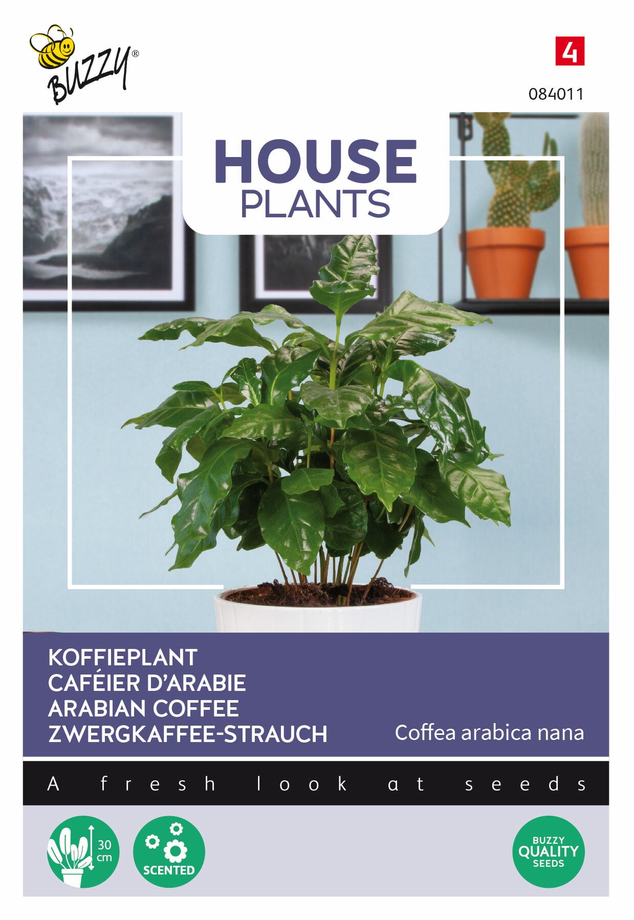 Buzzy-House-Plants-Coffea-Arabica-koffieplant