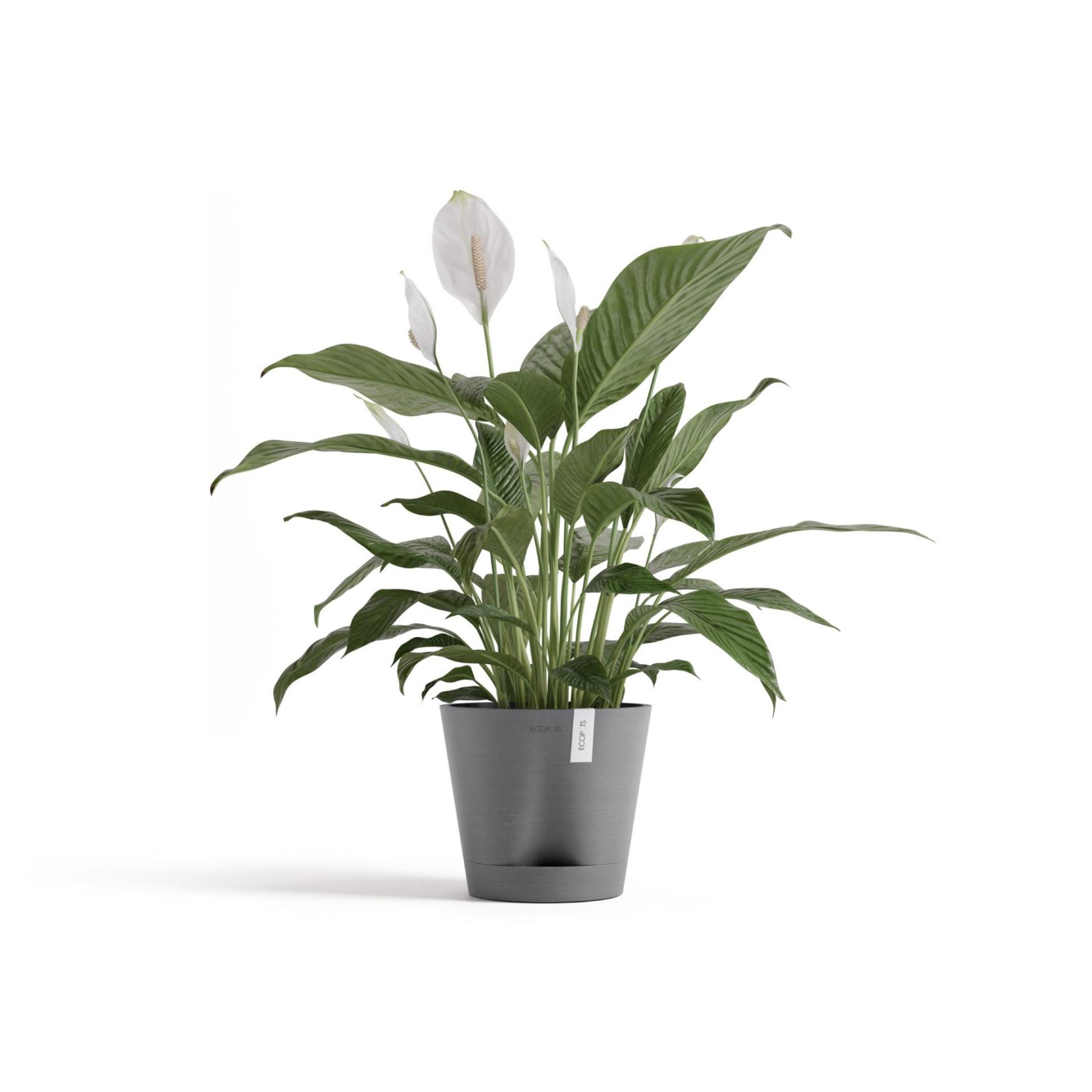 Ecopots-venice-2-grey-20-cm-H17-5-cm-incl-waterreservoir