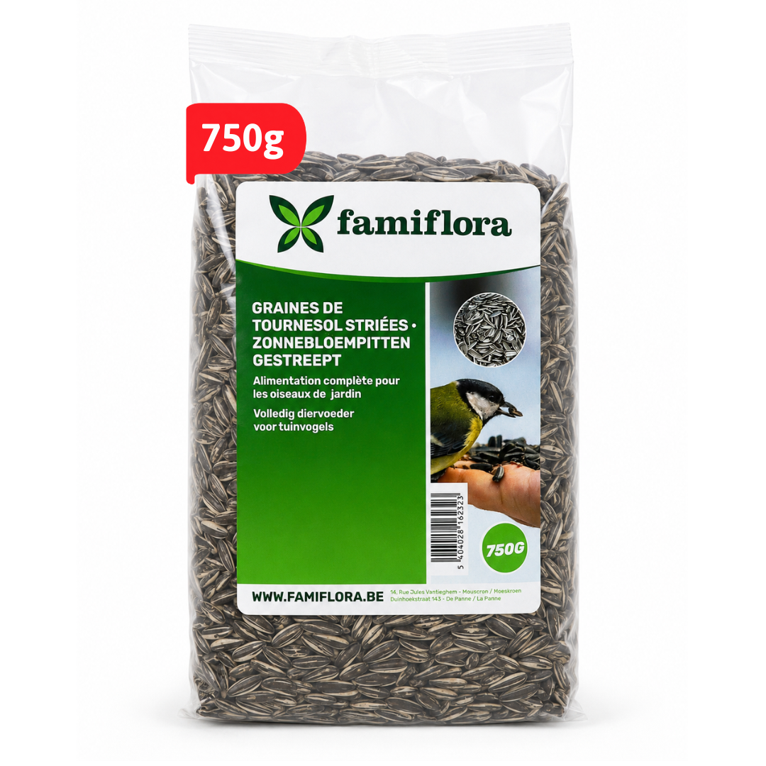 Famiflora Graines de tournesol rayées - Sac de 750 g - Nourriture classique pour oiseaux - Nourriture pour oiseaux de jardin - Nourriture d'hiver