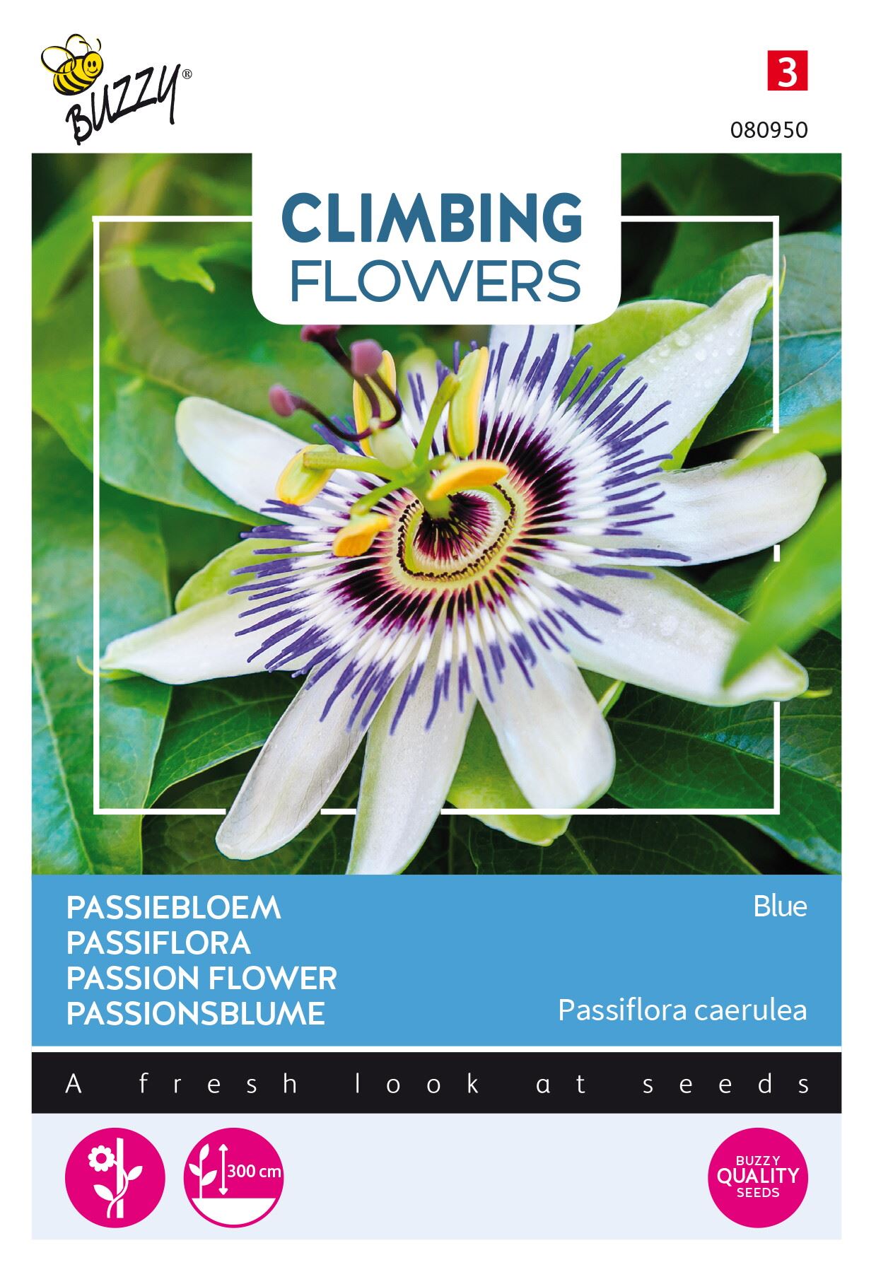 Buzzy-Flowering-Climbers-Passiflora-blauw
