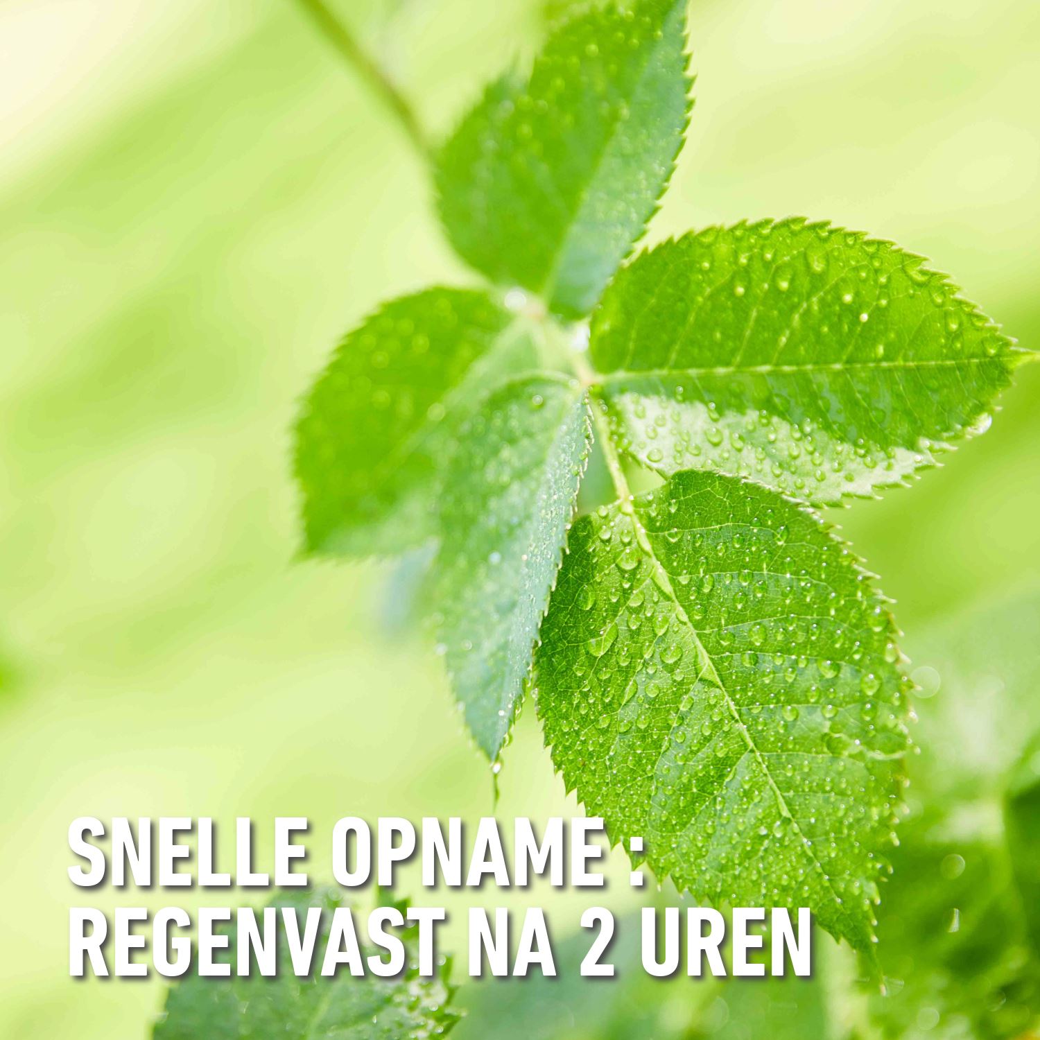 Compo-karate-garden-concentraat-100ml