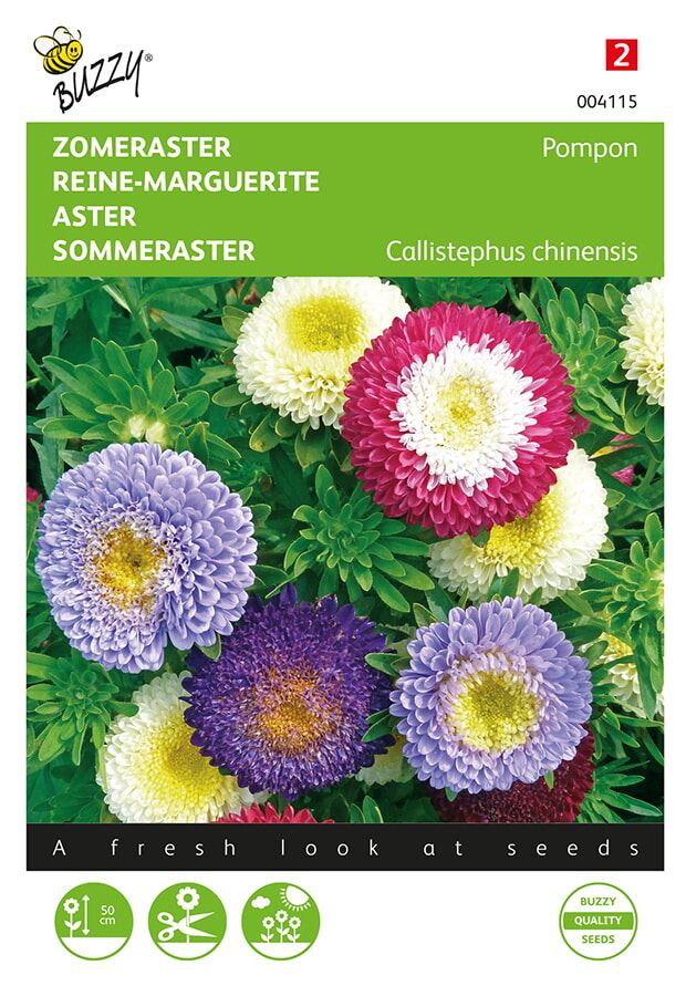 Buzzy-Callistephus-Zomeraster-Pompon-gemengd