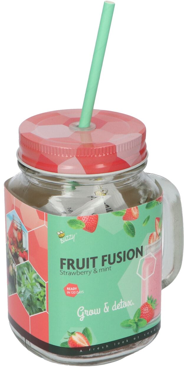 Buzzy-Fruit-Fusion-Aardbei-Munt-6-