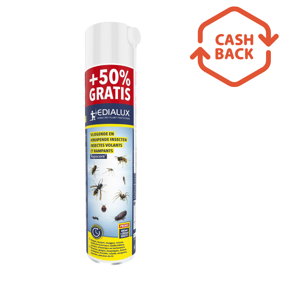 Topscore Spray Mouches et Insectes Rampants - 600 ml - Protection puissante et durable