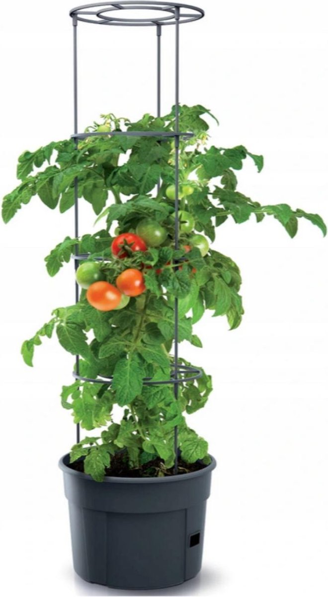 Prosperplast Tomato Grower Tomato Pot - Anthracite - Ø 29,5 cm - 12 Liter