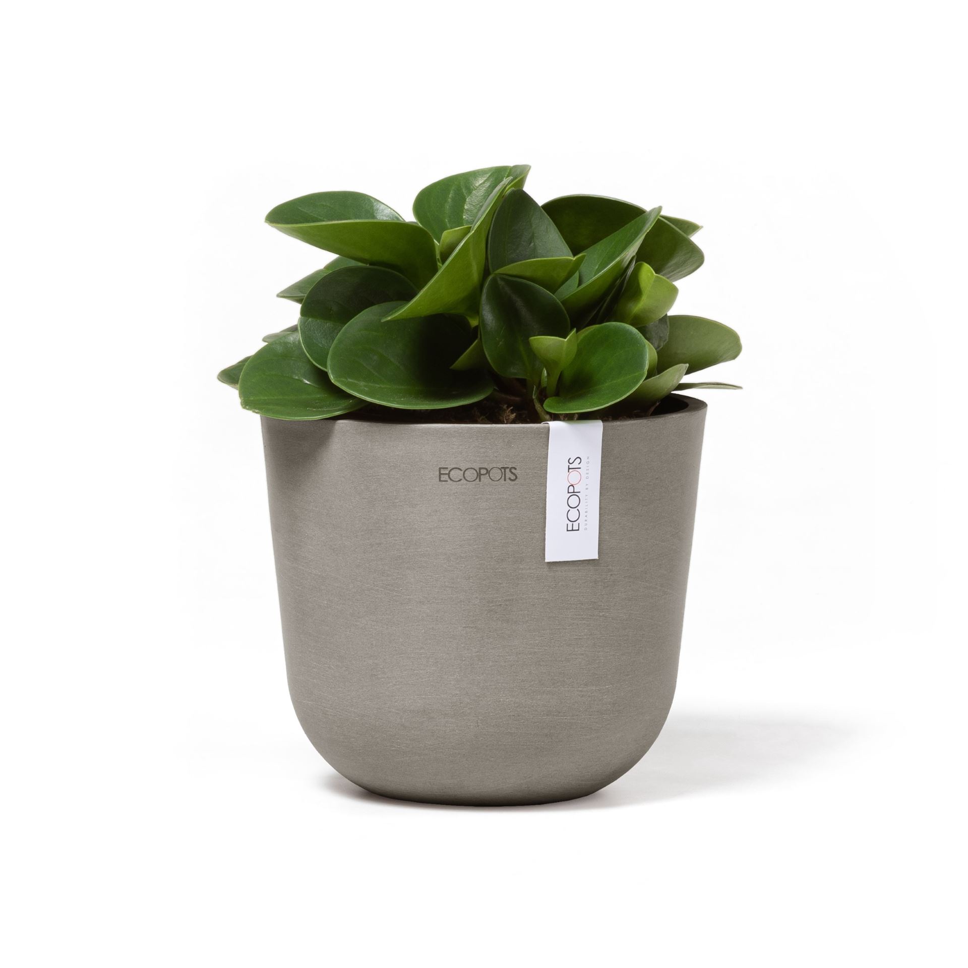 Ecopots-oslo-mini-taupe-16-cm-H13-cm