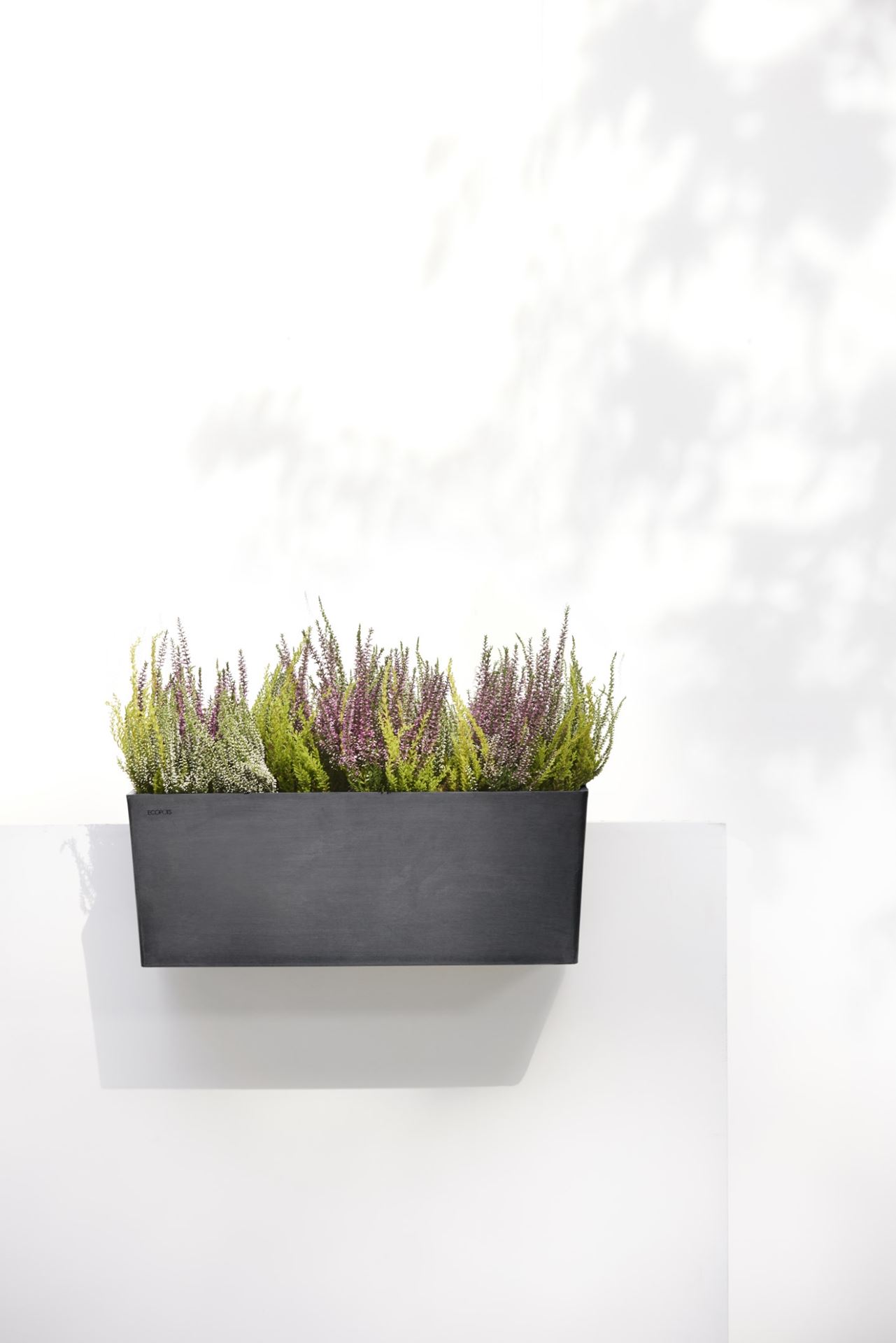 Ecopots-bruges-hanging-dark-grey-LBH-55x20x21-cm-incl-waterreservoir