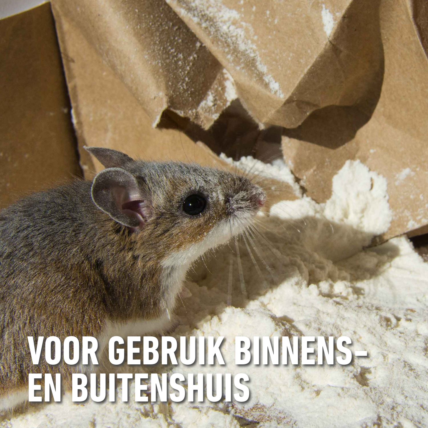 Barriere-radikal-toxa-graantjes-voederdoos-muizen-2x25gr-2-boxen