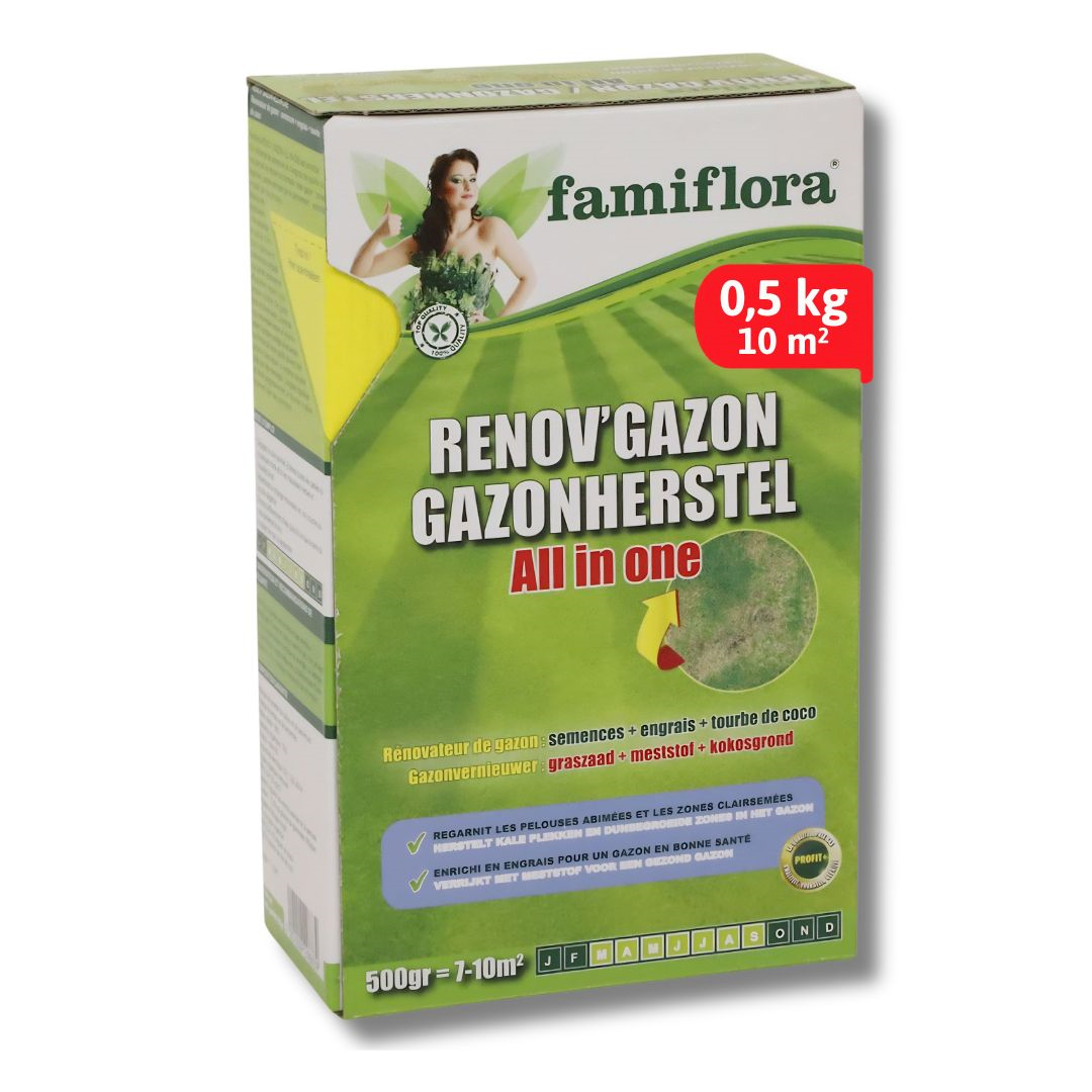 Mélange rénovateur de gazon RENOV’GAZON ALL IN ONE 500gr