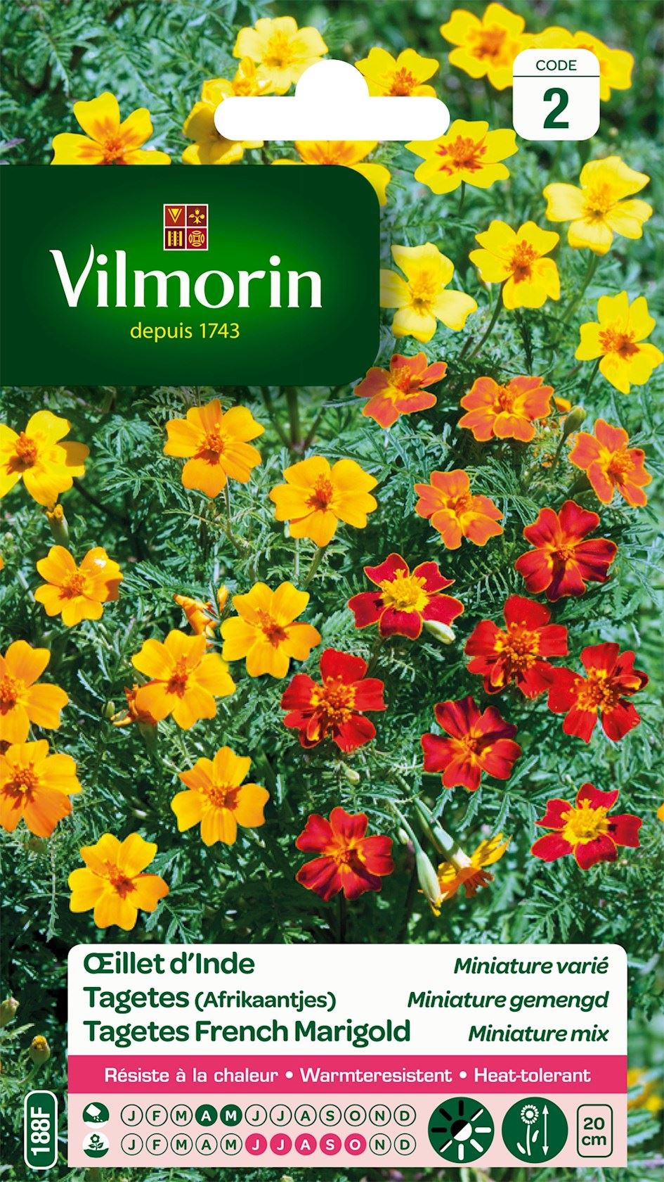 tagetes-afrikaantjes-miniature-gemengd
