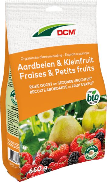 dcm-aardbeien-kleinfruit-0-65kg