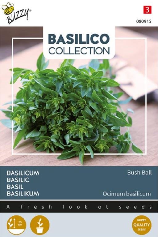 Buzzy-Basilicum-Greek-Basil-Bush-Ball-very-fine-leaved