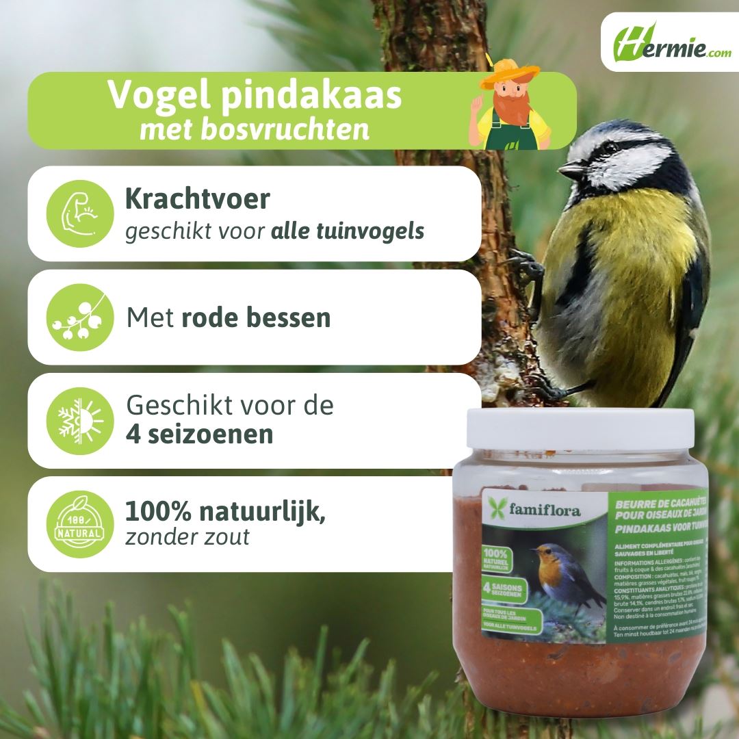 Pindakaas-voor-tuinvogels-met-bosvruchten