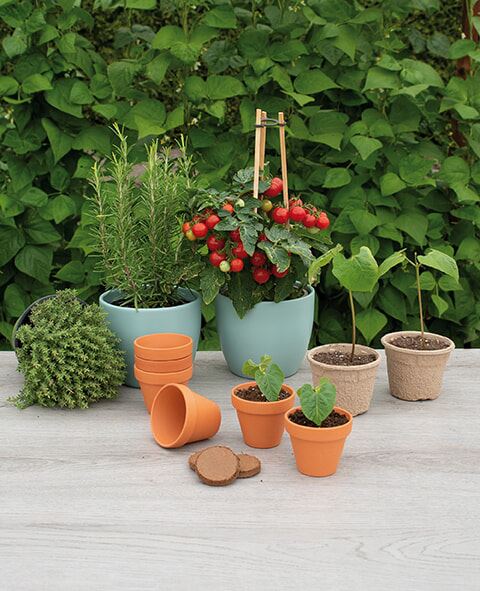 SOGO-Stenen-terracotta-potjes-7-8cm-7st-6-