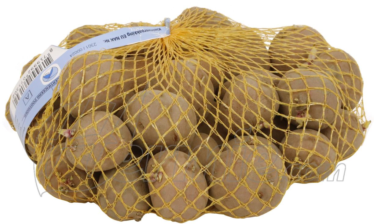 Seed potato Mozart bag 1kg