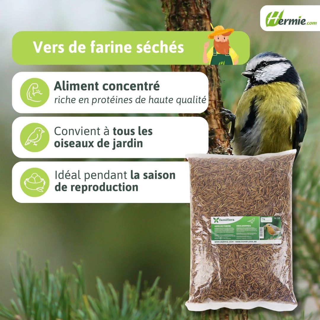 meelwormen-zak-1kg-6L