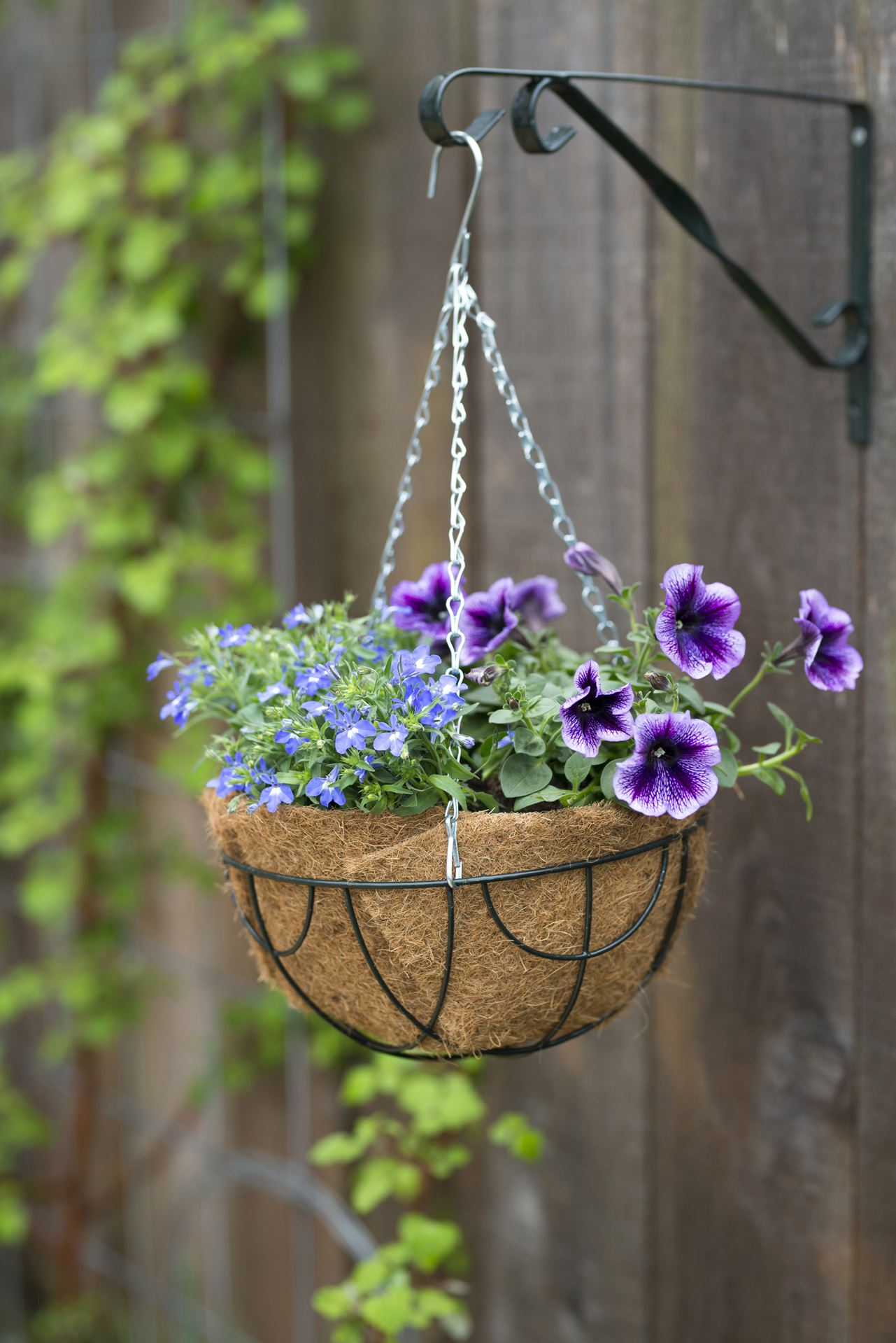 Kokosinlegvel-voor-hanging-basket-plat-met-waterkering-45cm-voor-30cm-basket