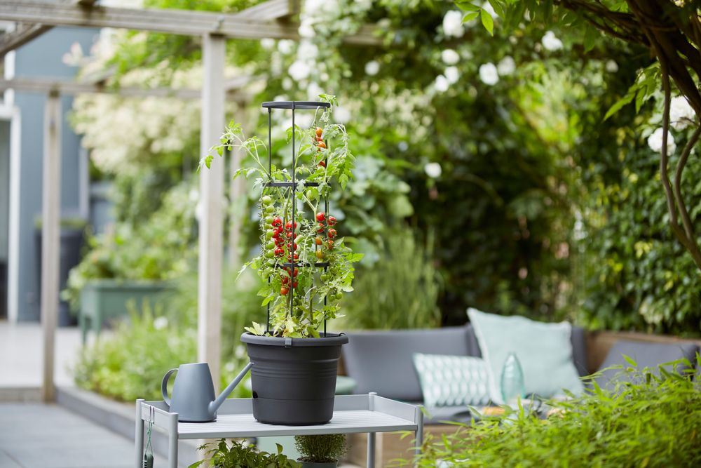 green-basics-tomaten-pot-33cm-living-black