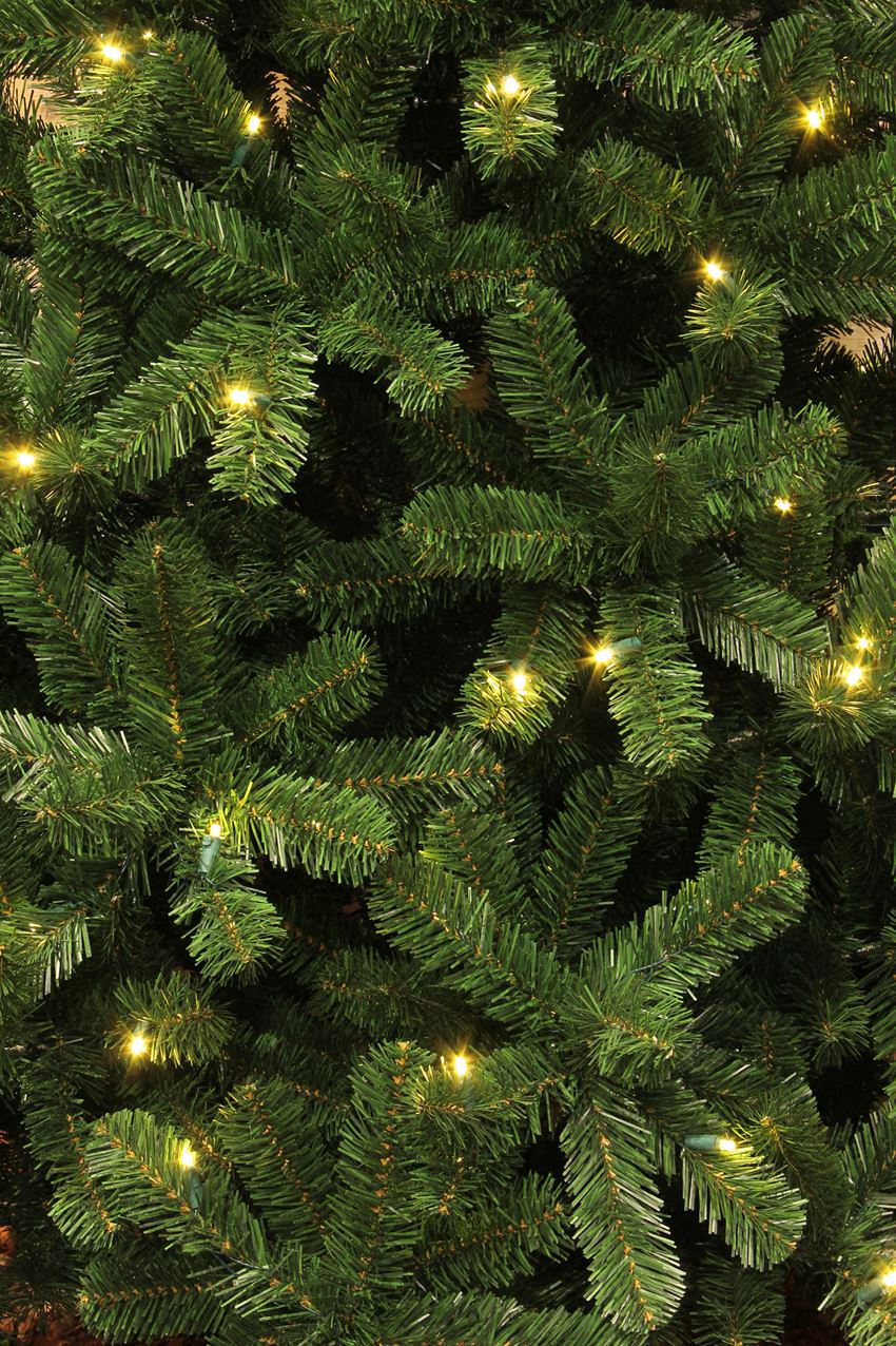 Kerstboom-Charlton-D115xH185cm-280L-groen