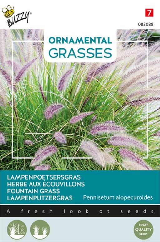 Buzzy-Ornamental-Grasses-Pennisetum-alopecuriodes