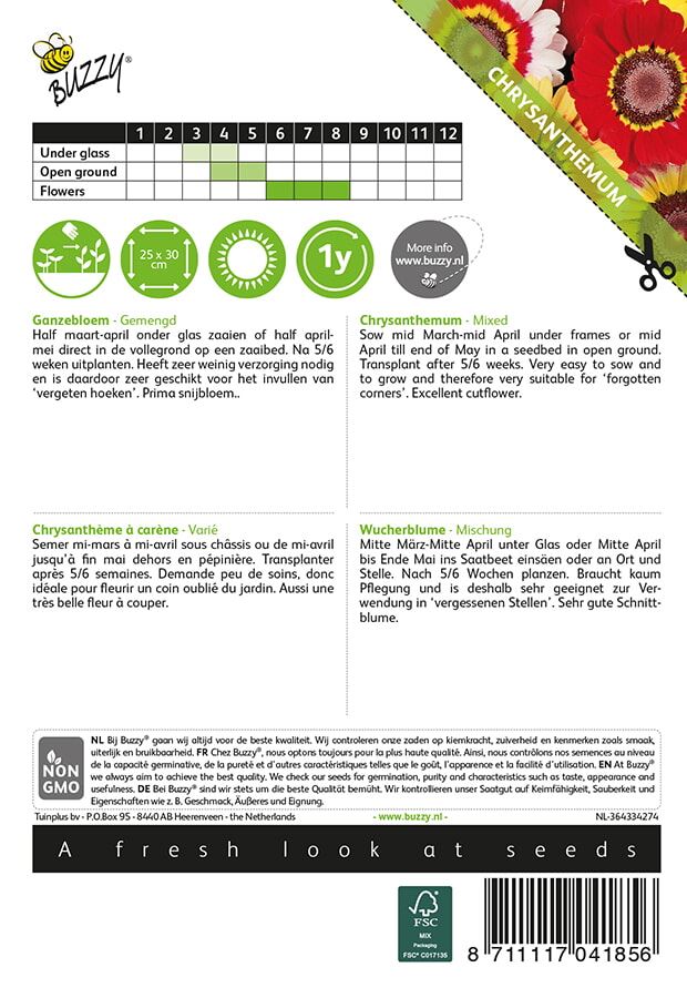 Buzzy-Chrysanthemum-Ganzebloem-gemengd