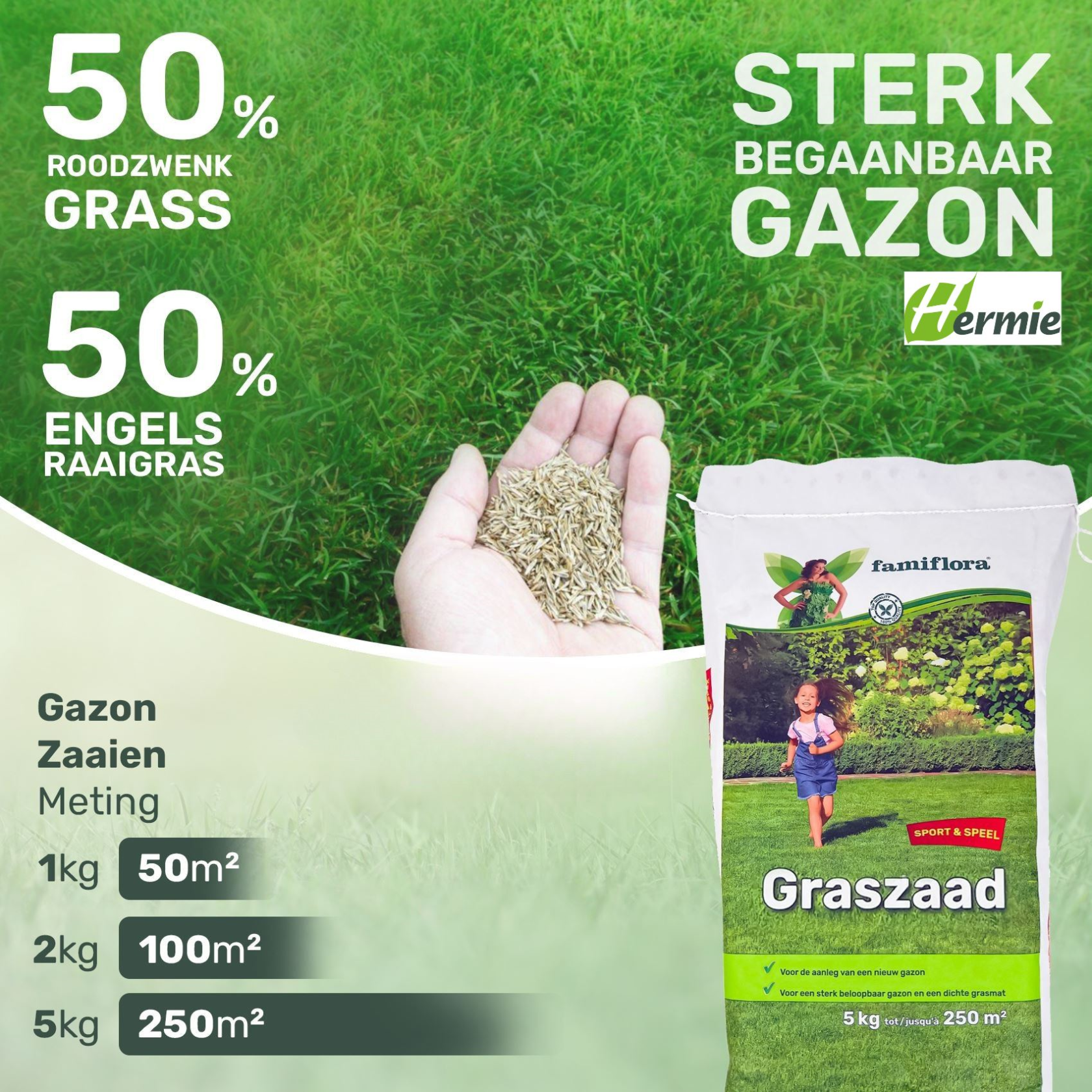 Famiflora semence de gazon 5kg jusqu'à 250m² - Jeux & Sports - pour l'établissement d'un nouveau gazon