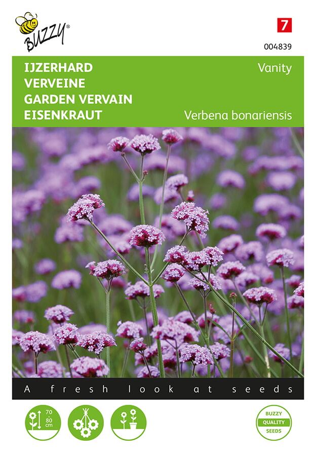 Buzzy-Verbena-bonariensis-Vanity-FSN-laag-soort-