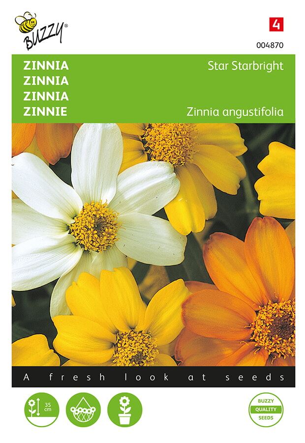 Buzzy® Zinnia zaden - Star Starbright mixed