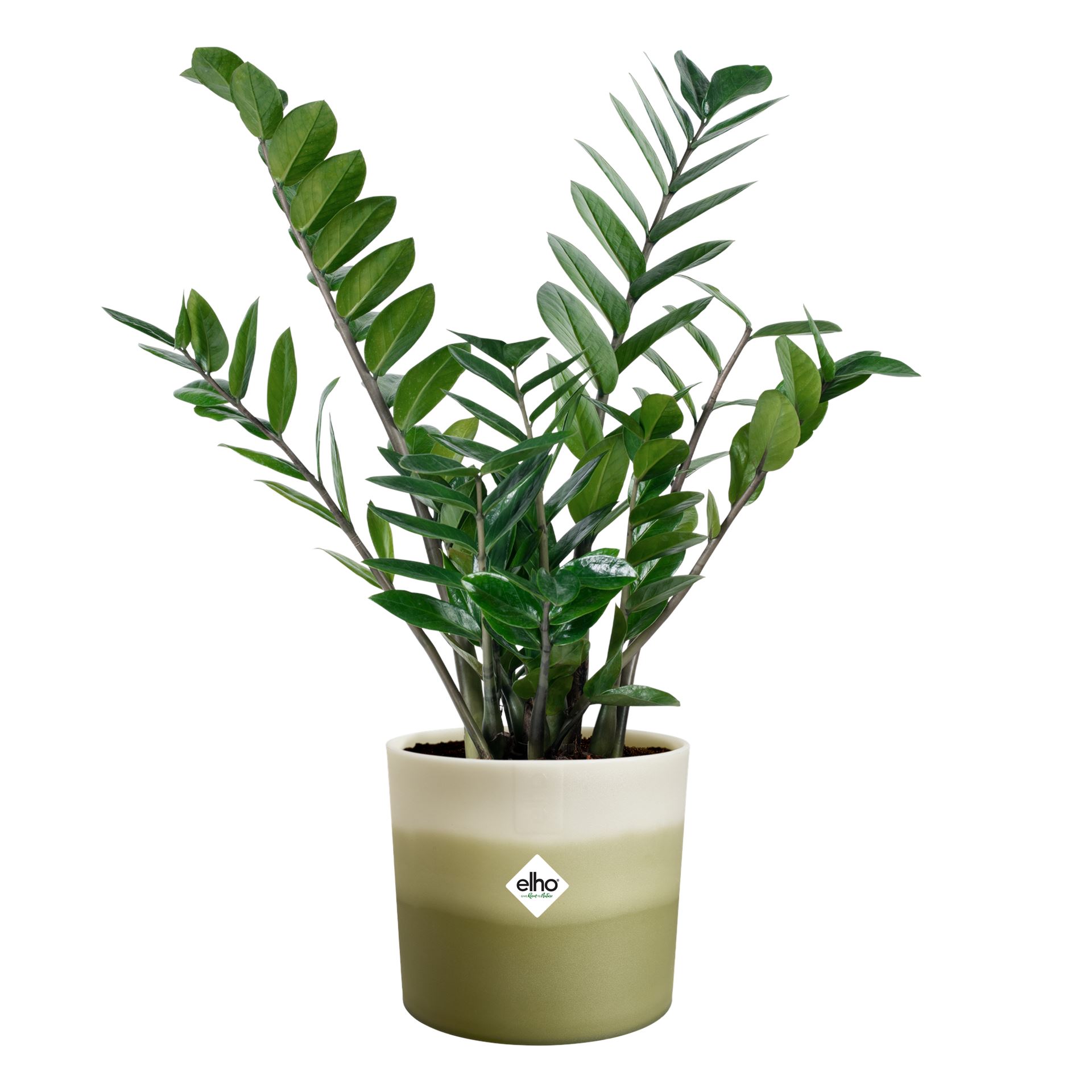 Elho-Colour-Gradiant-Rond-18cm-Bloempot-voor-Binnen-100-Gerecycled-Plastic-18-2-x-H-16-8-