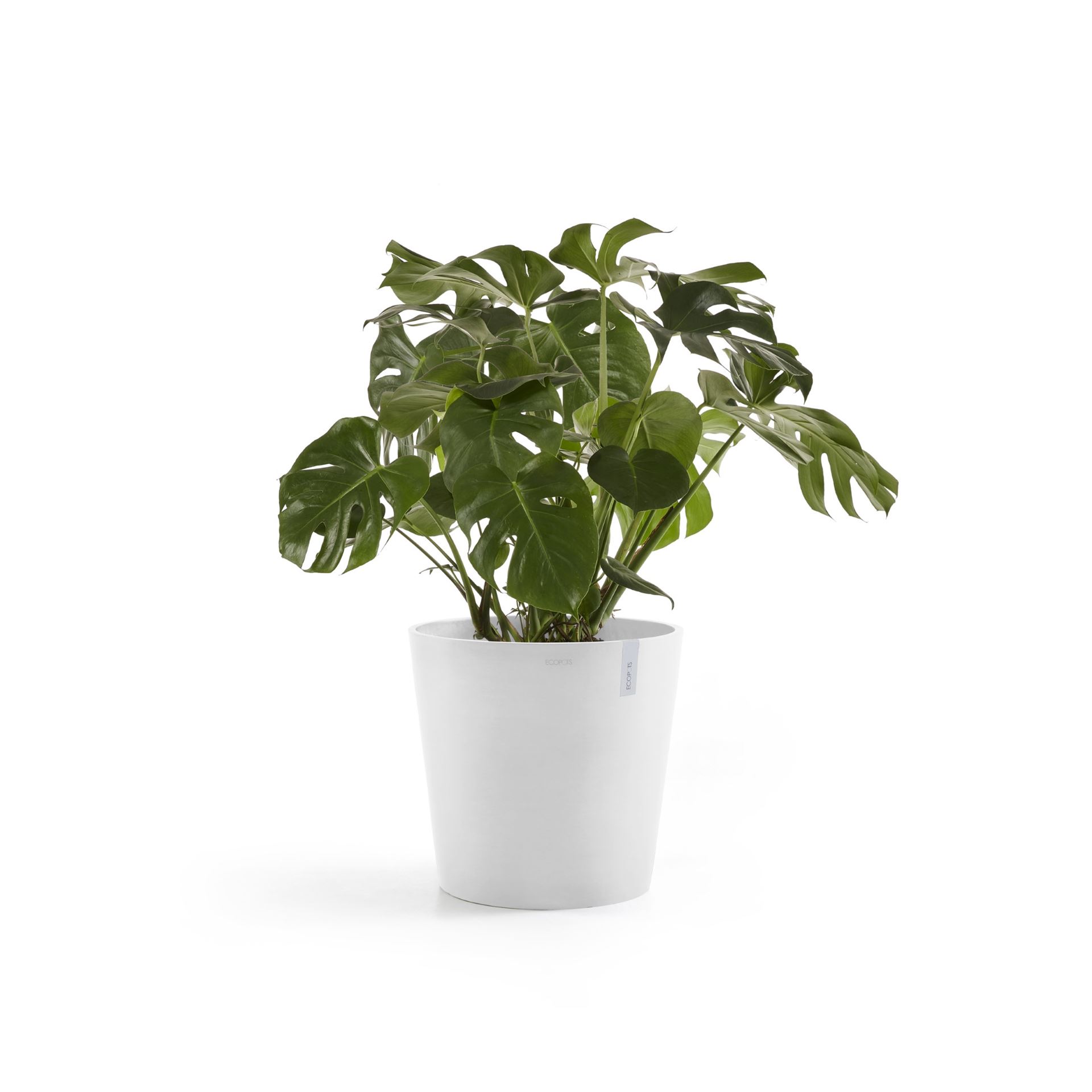 ecopots-Amsterdam-Pure-White-50-cm-H43-8-cm