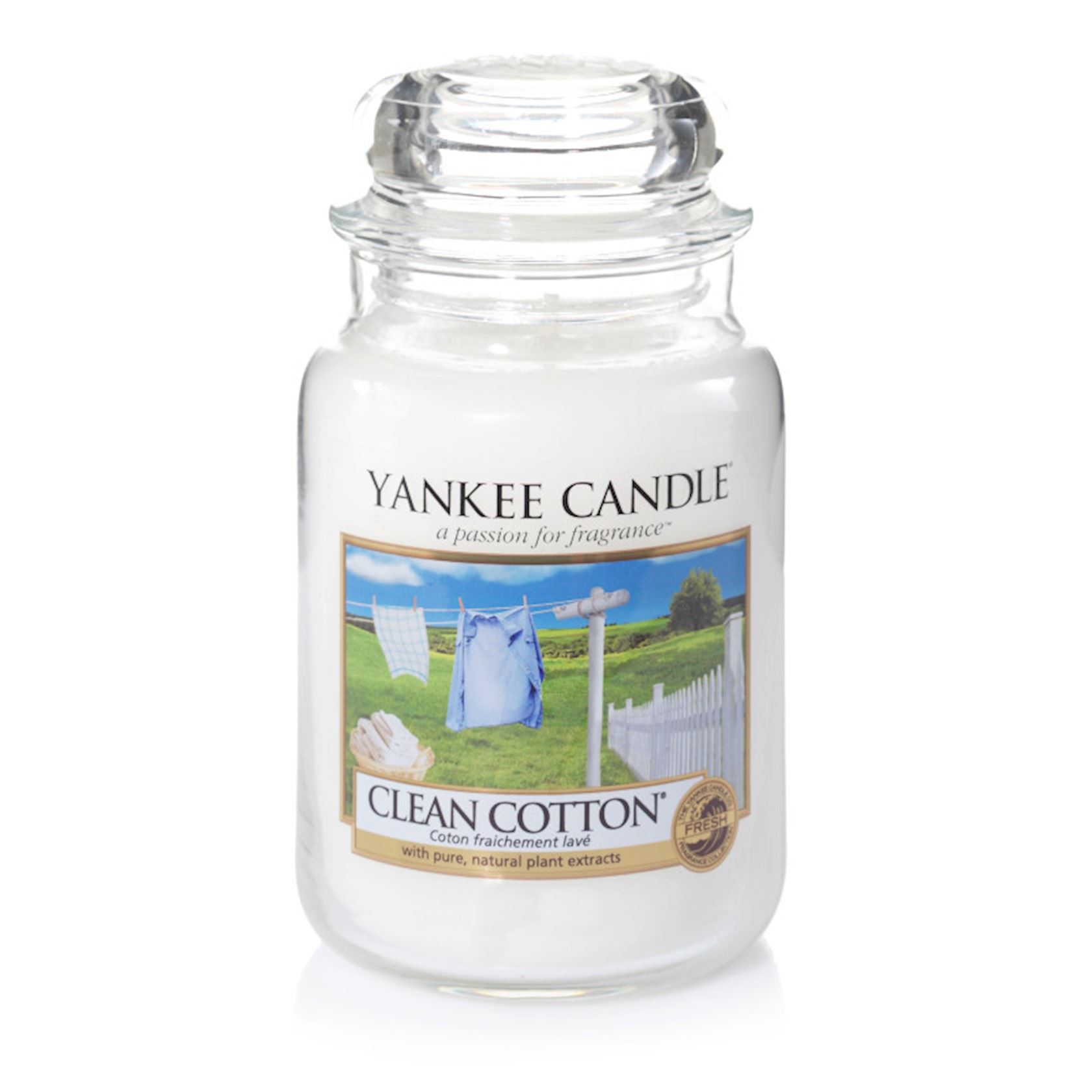 Clean-Cotton-Large-Jar