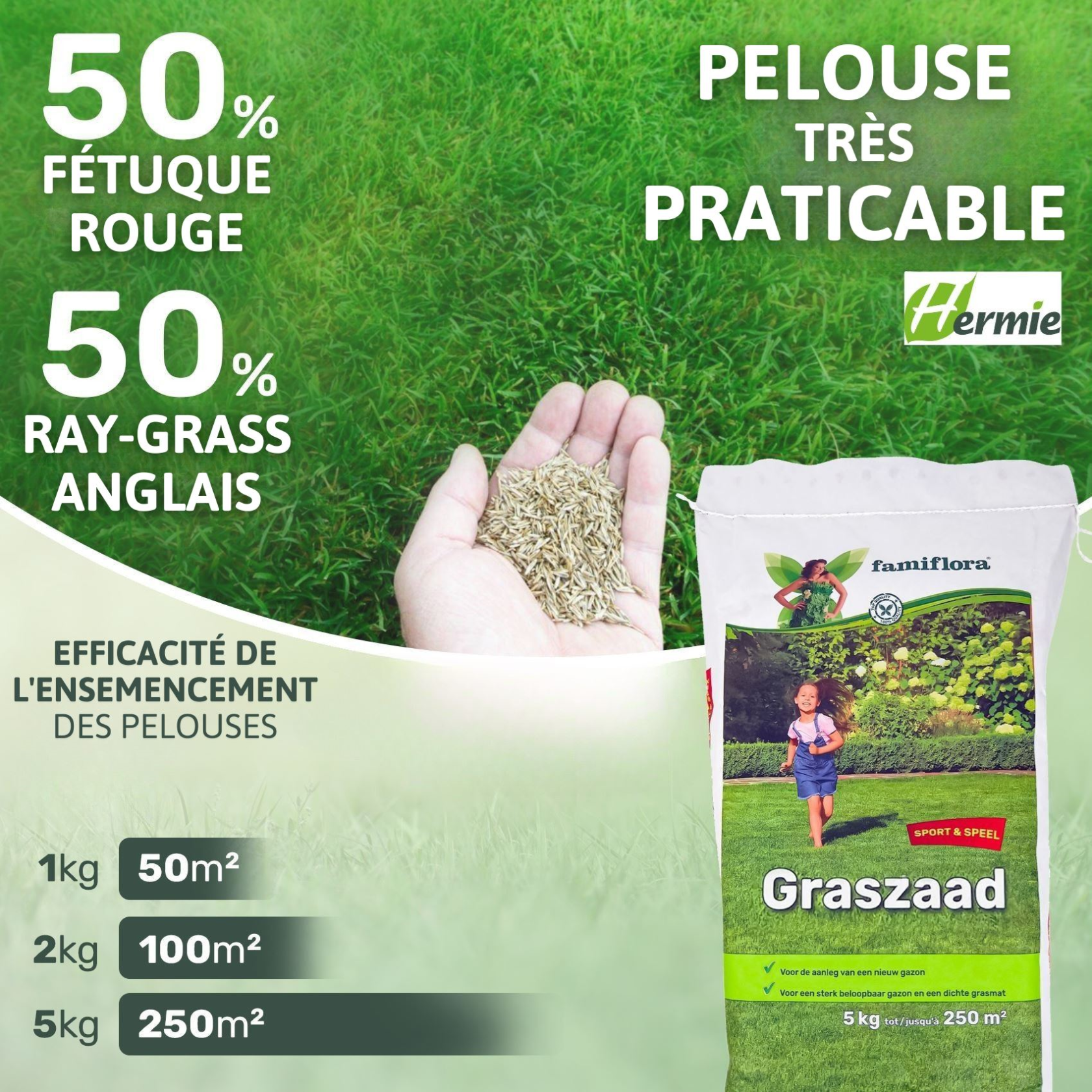 Famiflora semence de gazon 5kg jusqu'à 250m² - Jeux & Sports - pour l'établissement d'un nouveau gazon
