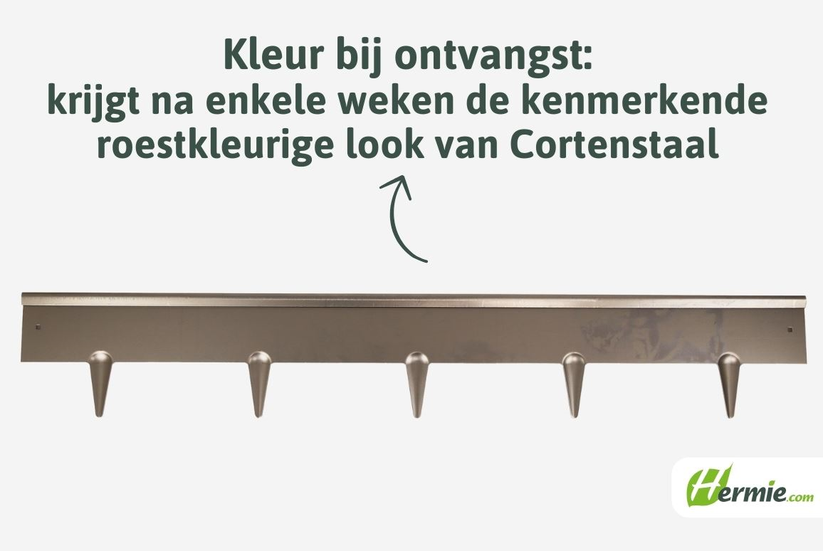 Famiflora démarcation en acier corten - avec sommet arrondi - H : 16cm x L : 100cm - 1.2mm d'épaisseur - y compris les piquets de terre - Qualité européenne !