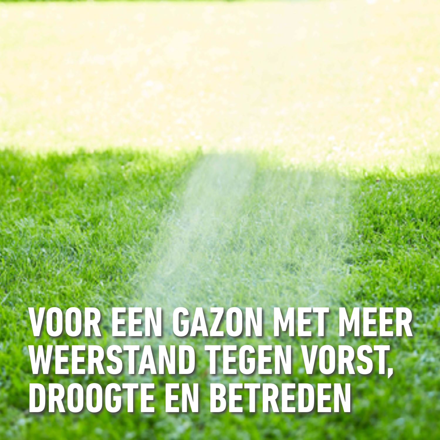 Compo-bio-gazonmeststof-2in1-1-5kg