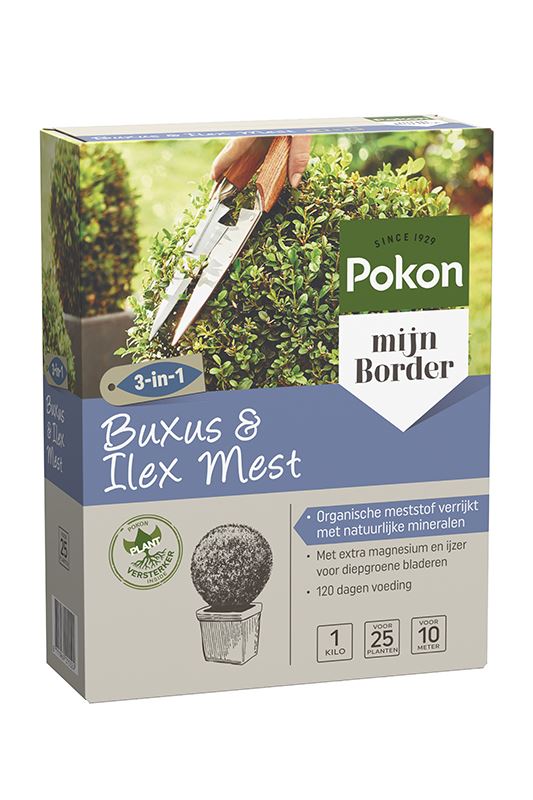 Pokon-Buxus-Ilex-Mest-1kg