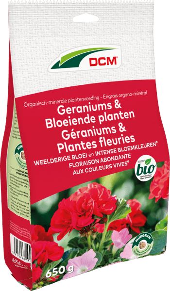 dcm-geraniums-bloeiende-planten-0-65kg