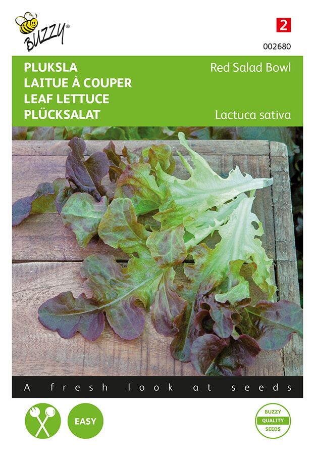 Buzzy-Pluksla-Red-Salad-Bowl-Rode-Eikenblad