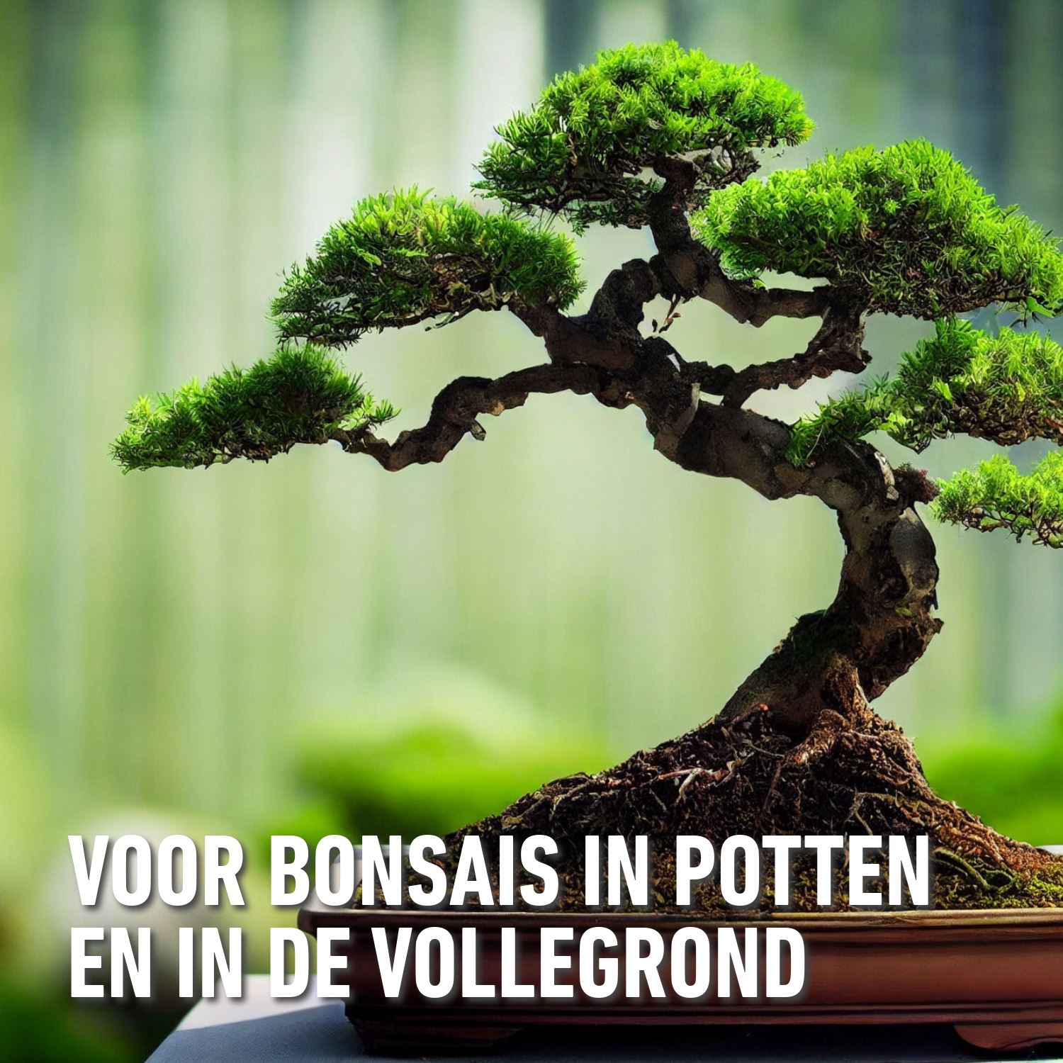 Compo-sana-bonsaipotgrond-5L