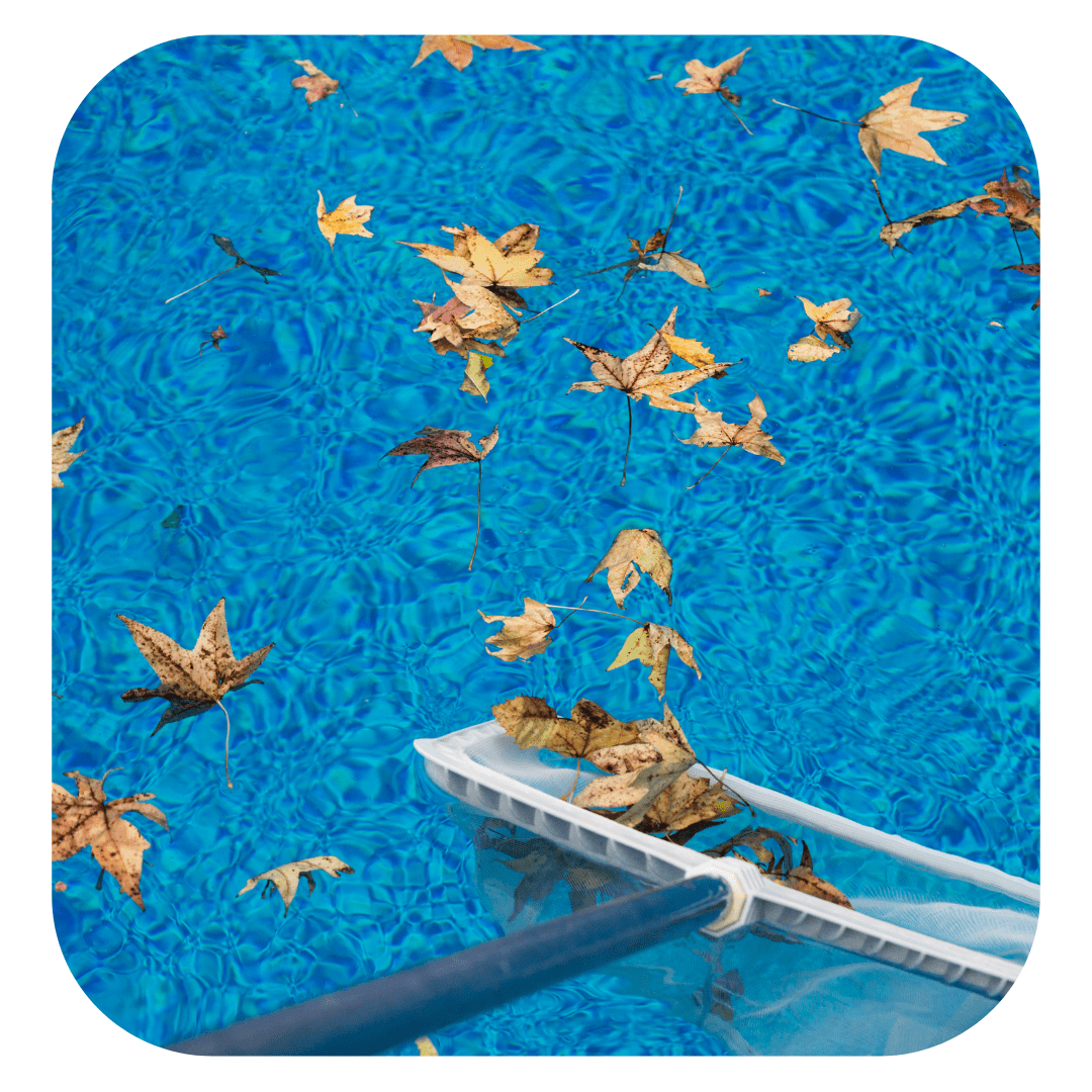 bladeren scheppen zwembad