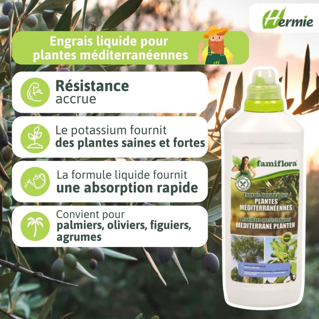 Famiflora liquid fertilizer for Mediterranean plants - 1 L